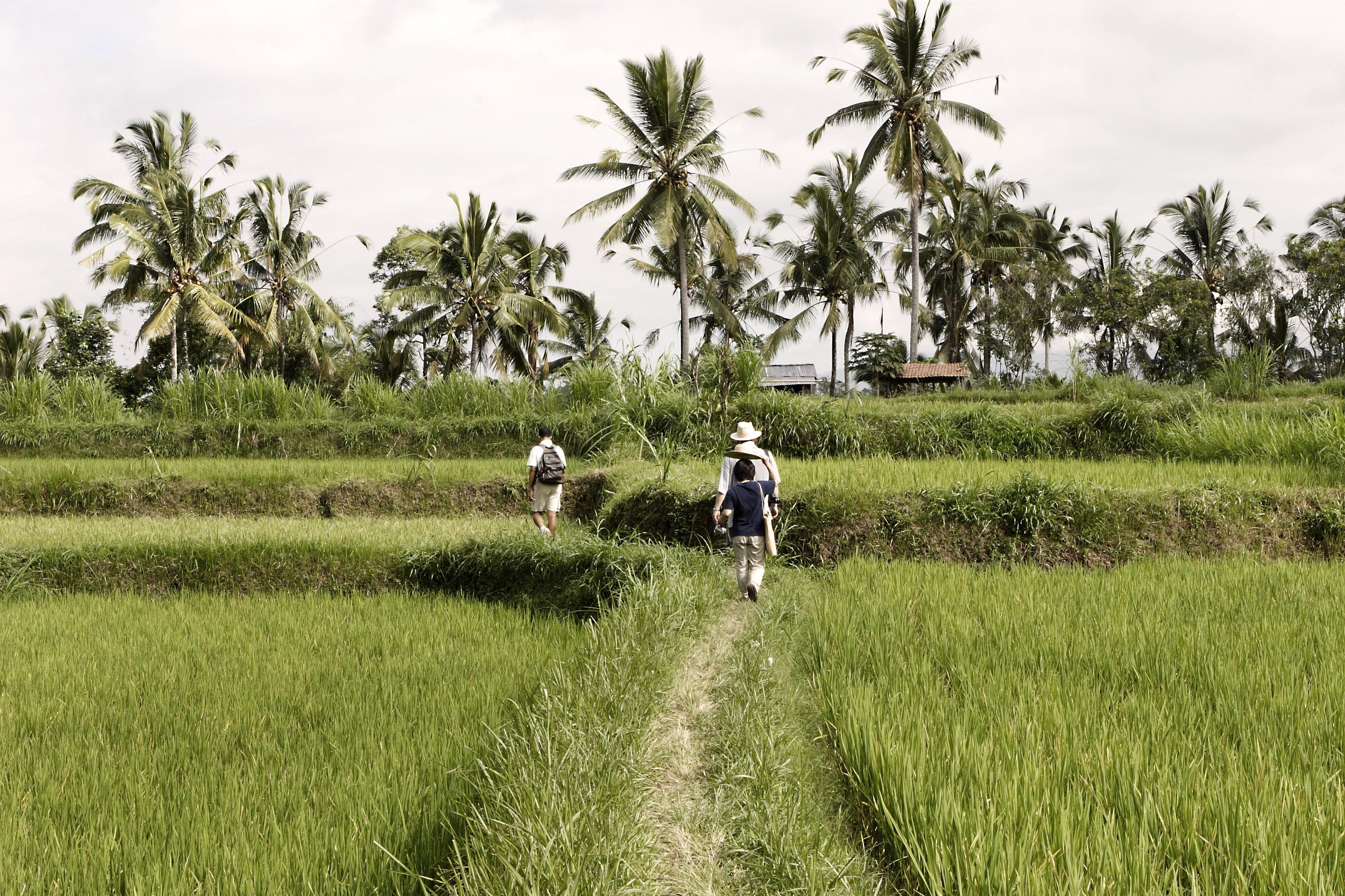 Hanging Gardens Of Bali Убуд Экстерьер фото